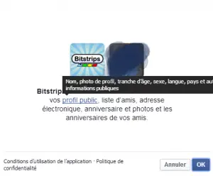 Bitstrip facebook