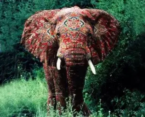 elephant peint hippie