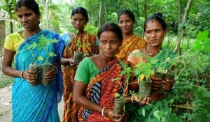 Village indien ecologique respect des femmes