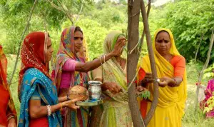 Village indien qui plante 111 arbres à chaque naissance