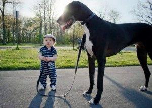 chien et enfant bébé
