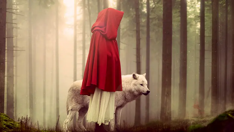 Magnifique photo d'un loup et une femme dans les bois