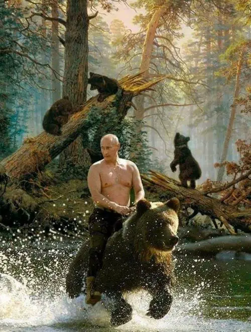 Vladimir poutine sur un ours