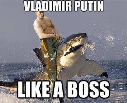 Poutine sur un requin Vladimir poutine