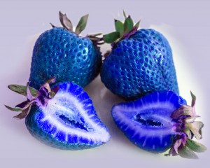 Des fraises bleu Au Japon