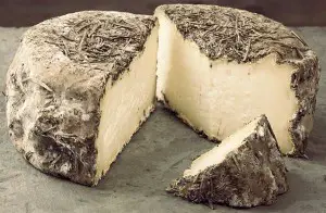 fromage le plus vieux du monde