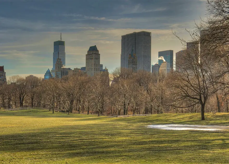 Une balade à Central Park, New-York 