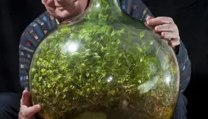 jardin dans une bouteille en verre hermétique
