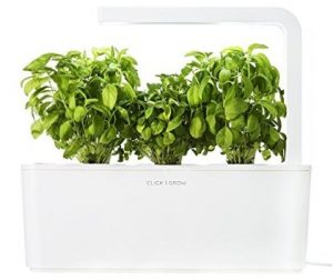 Le potager d’intérieur pour cultiver des légumes en appartement