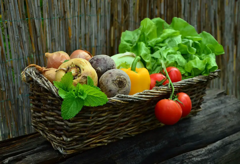Fruits et légumes à faire pousser à la maison
