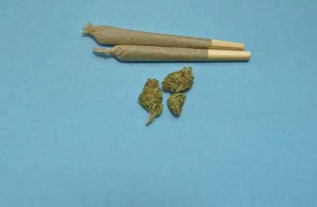 microdosage cannabis weed