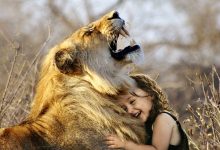Montage photo photoshop avec un lion et une petite fille