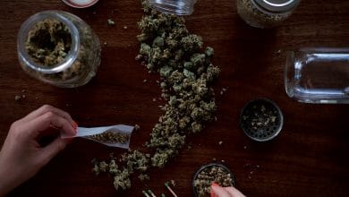 cbd cannabis joint weed beuh