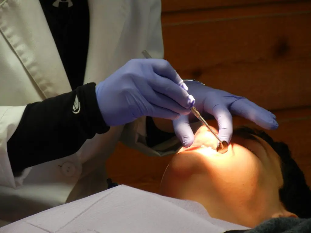 débuts de l’orthodontie